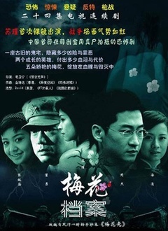 梅花档案封面图