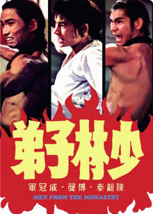 少林子弟封面图