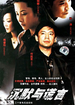 沉默与谎言封面图