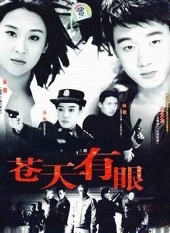 苍天有眼封面图