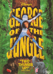 森林泰山封面图