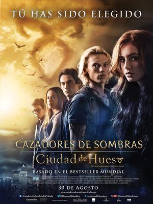 圣杯神器：骸骨之城封面图