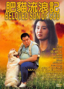 肥猫流浪记封面图