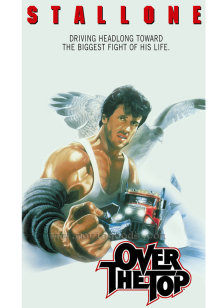 飞越巅峰封面图