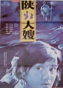 陕北大嫂封面图