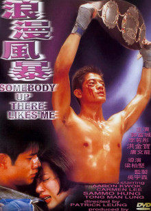 浪漫风暴封面图