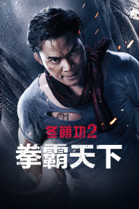 冬荫功2：拳霸天下封面图