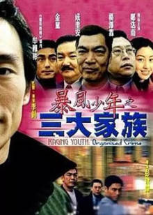 暴风少年之三大家族封面图
