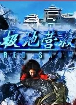 极地营救封面图