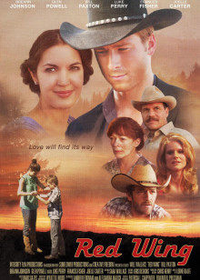 隐形红翼封面图