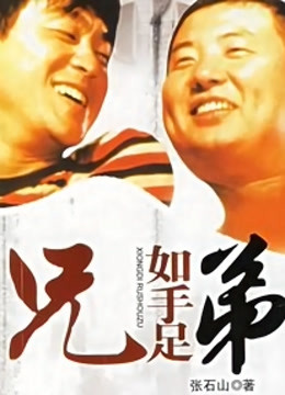 兄弟如手足封面图