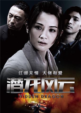 潜龙风云封面图