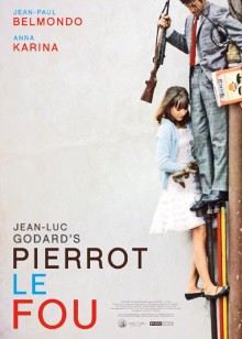 狂人皮埃罗封面图