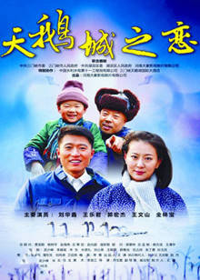 天鹅城之恋封面图