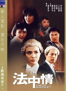 法中情封面图