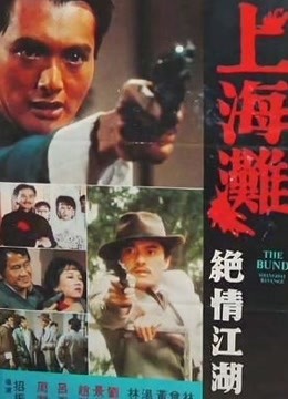 上海滩续集封面图