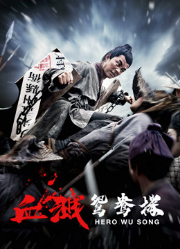 血溅鸳鸯楼封面图