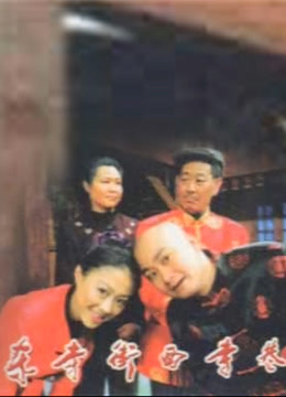 东寺街西寺巷封面图