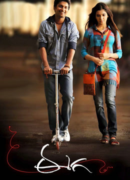 功夫小蝇封面图