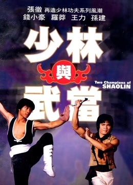 少林与武当封面图