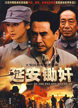 延安锄奸封面图