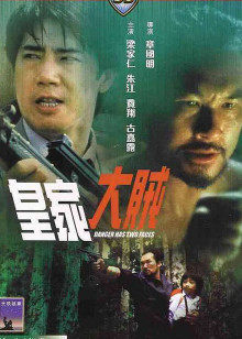 皇家大贼封面图