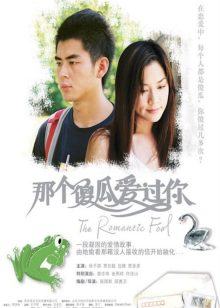 那个傻瓜爱过你封面图