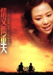 情义两重天封面图