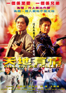 天地有情封面图