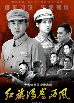 红旗漫卷西风封面图