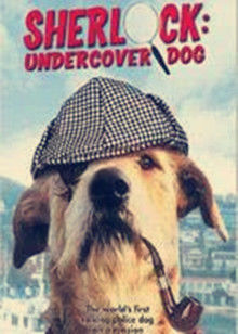 侠肝义犬封面图