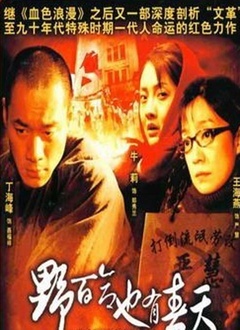 野百合也有春天封面图