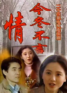 今冬不言情封面图