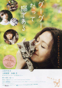 咕咕是一只猫封面图