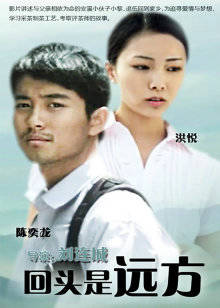 回头是远方封面图