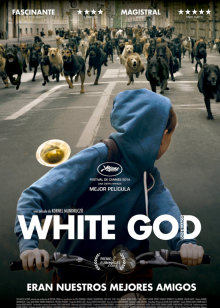 白色上帝封面图