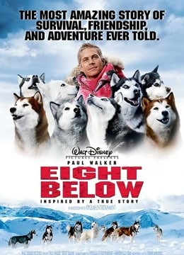 南极大冒险封面图