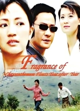 几度菊花香封面图