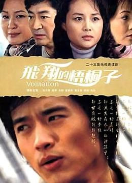 飞翔的梧桐子封面图