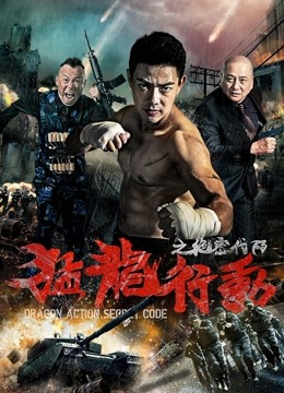 猛龙行动之绝密代码封面图