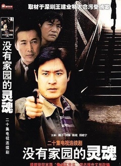 没有家园的灵魂封面图