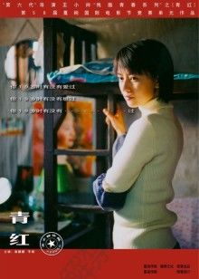 青红封面图