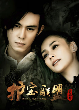 护宝联盟第三季封面图