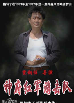 神府红军游击队封面图