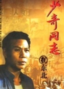 少奇同志在东北封面图