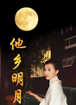 他乡明月封面图