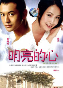 明亮的心封面图