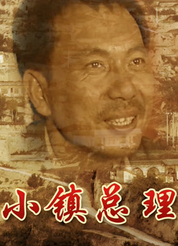小镇总理封面图