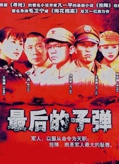 最后的子弹封面图