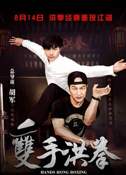 双手洪拳封面图